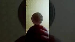 8 мая 2024 г.