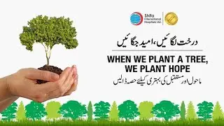 Why Trees are important to our environment?  Planting trees to preserve the environment