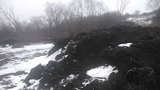 Пруд в январе. Зимнее...
