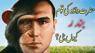 hazrat dawood alaihis salam ka waqia | hazrat dawood story in urdu