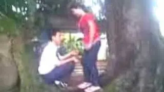 mango tree with chuck