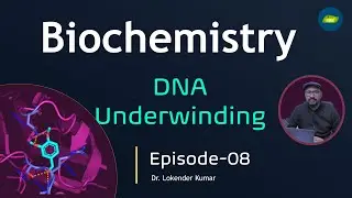 Biochemistry | Chapter- Genes | DNA Underwinding | Episode-08 | Basic Science Series