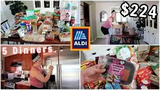 WEEKLY ALDI GROCERY HAUL! FAMILY OF 5 | NEW SUMMER FINDS