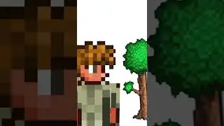 с новым годом🥳🎁 #террария #terraria #shorts
