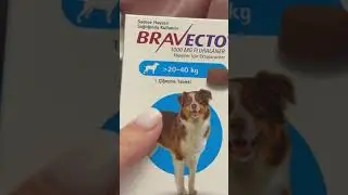 Купили лекарства для собачек