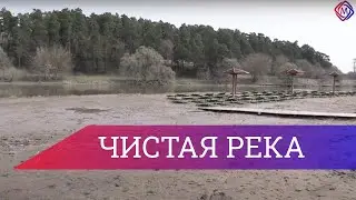 С 25 апреля в Подольске проходит ежегодная акция 
