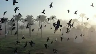 landscape shots