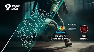 ZÁZNAM | Tex-Color České Budějovice - FTZS Liberec 5:3 pp (0:1)