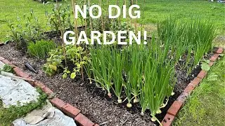 No Dig GardenTour. No Dig Greenhouse.