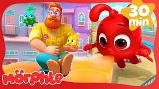 Morphle Family The Floor is Lava |  Mila and Morphle | Fun Cartoons for Kids