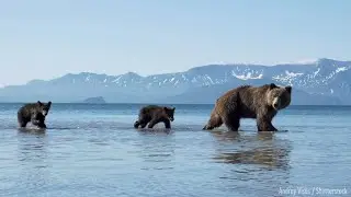 You Are Nature's Hero