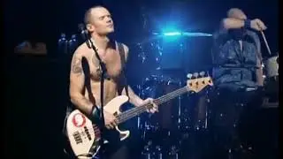 05 Best dont forget me solo #guitarsolo