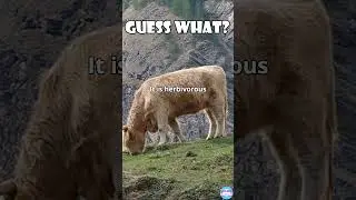 Guess what-2 (Science,Biology and Objects)