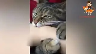 немного злюка