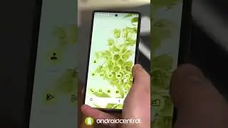 Android 13 Tiramisu DP1 in 60 seconds!