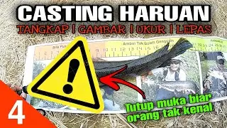Siri 4 | Casting Haruan | Tangkap Dan Lepas
