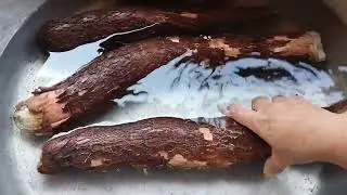 APRENDA COMO ARMAZENAR MANDIOCAS CONGELADA POR MESES!! #rotinanaroça #alimentos #praticidade