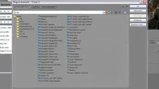 Sony Vegas-Echo Effect