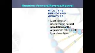 Forward, reverse and netural mutation