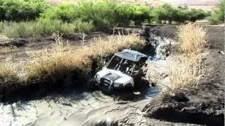 polaris RZR 800s
