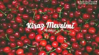 [Lyrics+Vietsub] Kiraz Mevsimi - Aydilge (Cherry Season OST)
