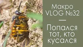 Попался тот, кто кусался / МакроVLOG №32 / Микропланета