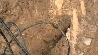 MOV014
