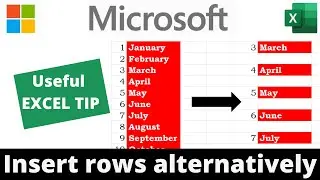 How to insert a row alternatively after each row