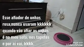Pensa num brinquedo que minhas gatas adoram!!!😹.Vai vendo!!!                         Tuca Tuquinha 🤭