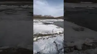 Ледоход на горной речке выбросило на другой берег | рыбалка в России | 