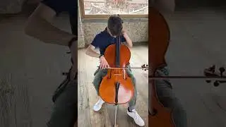 Sound Sample Violoncello Mario Gadda 1979 cello