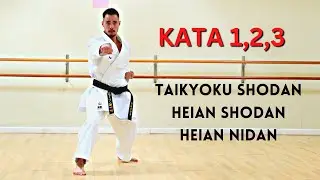 FIRST 3 SHOTOKAN KARATE KATA (REAR VIEW)