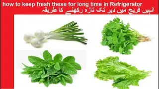 How to Keep Fresh انہیں فریج میں دیر تک تازہ رکھنے کا طریقہ