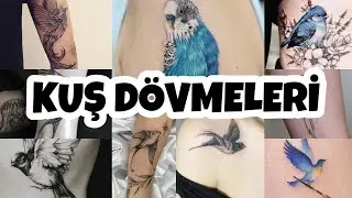 KUŞ DÖVMELERİ , GÜZEL MODELLER VAR #kuşdövmesi #muhabbetkuşu #dövme