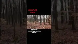 SOMETHING STRANGE