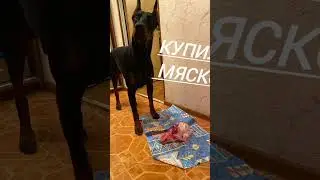 А она не пришла... 😢