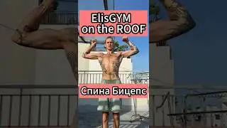 ElisGYM Спина Трицепс тгк ElisSpot #shorts #вьетнам #жизньвовьетнаме #работавьетнам