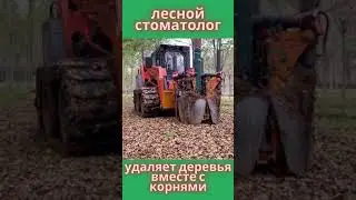 КРУПНЫЙ ТРАКТОР УДАЛЯЕТ ДЕРЕВЬЯ CHAPTER КОРСАК / ЛЕСНОЙ ДОКТОР / #shorts