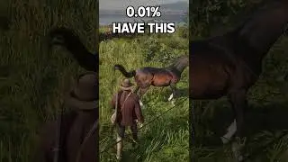 0.01% of RDR 2 Players Have This Horse – Here’s How to Get It! 