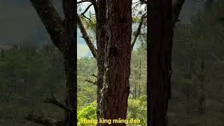 Bản em bình yên lắm nha 👻