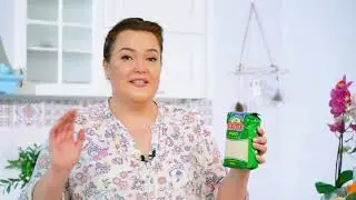 Традиционное корейское блюдо 