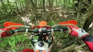 Sledge Hammer (new Gnarly trail)