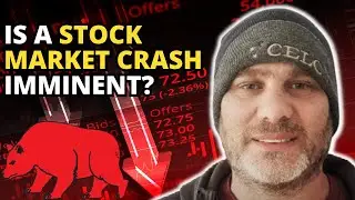 Surviving the Next Stock Market Crash: Learning from History