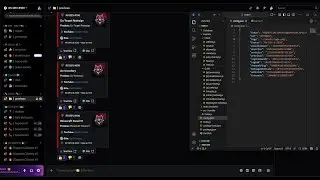 Professional and Clean Discord Bot + Automate Your Server | Showcase