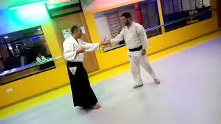 katate dori sokumen irimi nage