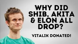 How did Vitalik's donations drop so many token prices? SHIBA INU, AKITA INU, DOGELON