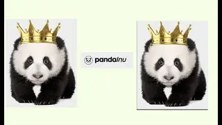 Tutorial l on how to buy PandaInu token