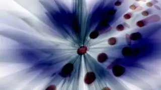 Project Genesis by Conspiracy | 64k (720p demoscene demo)