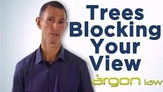 Are Trees Blocking Your View? New Laws Provide a Solution!
