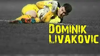 Dominik Livakovic - Best Skill and Saves